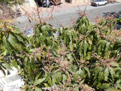 apr 2014 004.jpg
