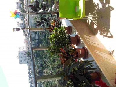 2014-04-18%2010_01_00_compressed.jpg