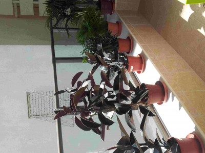 2014-04-18%2010_01_12_compressed.jpg