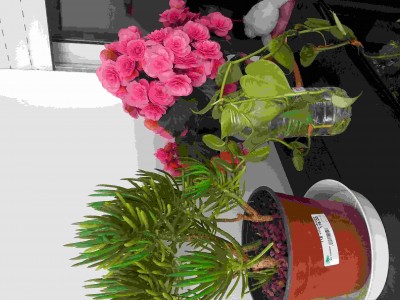 2014-04-20 10.33.32_compressed.jpg