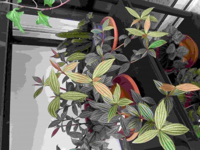 2014-04-20 10.34.03_compressed.jpg
