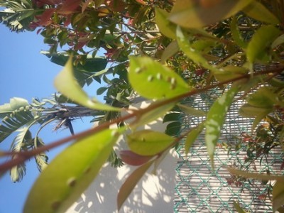 20140425_175020.jpg