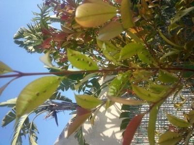 20140425_175136.jpg