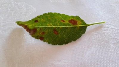 20140517_093212.jpg