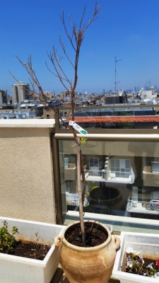 20140525_122855.jpg