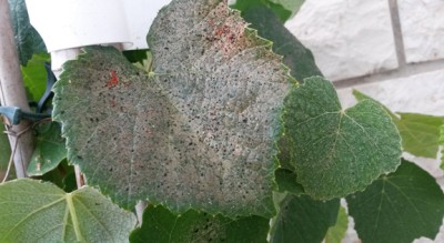 20140603_175421.jpg