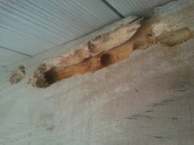 roof_wood_side.jpg