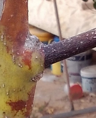 P_20140721_185803_1.jpg