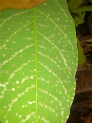 IMG_20140727_181940.jpg