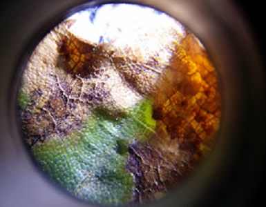 20140801_201132 small.jpg