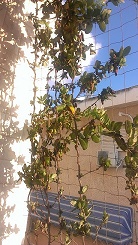 IMAG0292.jpg