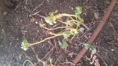 20140830_165913.jpg