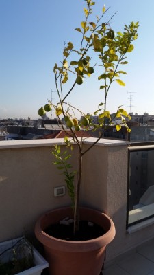 20140909_080004.jpg