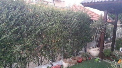 תמונה  (1).jpg