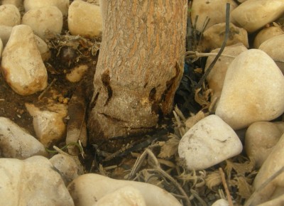 DSCN9413.JPG