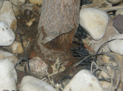 DSCN9423.JPG