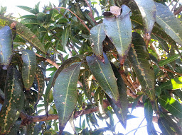20141006_091547.jpg