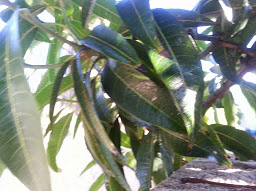 20141006_091553.jpg