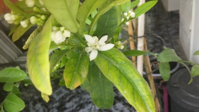 20150328_143048.jpg
