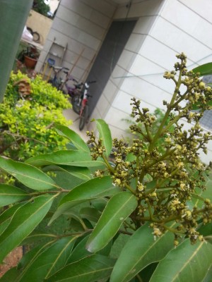 20150328_121044ff.jpg