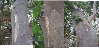 Picture1.jpg