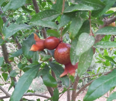 20150608_170357.jpg