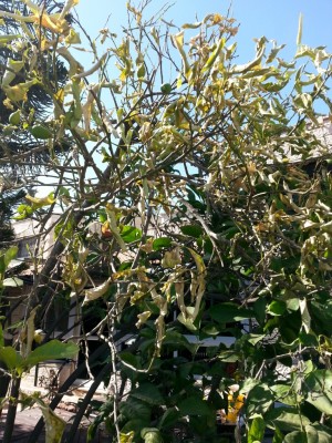 20150703_161457.jpg