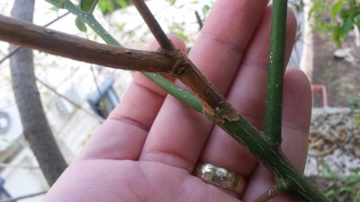 20150807_174849.jpg