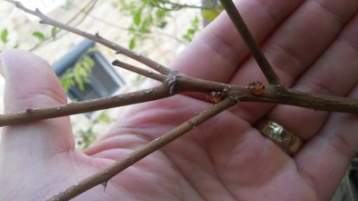 20150807_174840.jpg