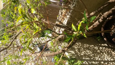 20150809_121026.jpg