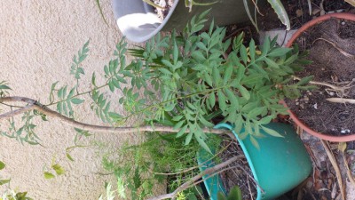 20150808_103441.jpg