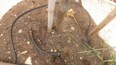 20150810_105201.jpg