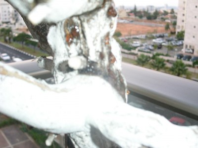 PICT00211.JPG