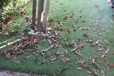 2015-10-01 15.52.55.jpg