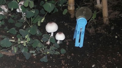 20160821_214607_resized_2.jpg