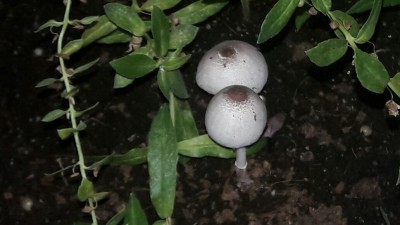 20160821_214754_resized_2.jpg