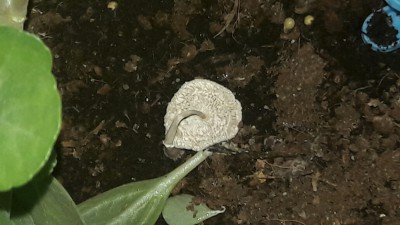 20160821_214936_resized_2.jpg