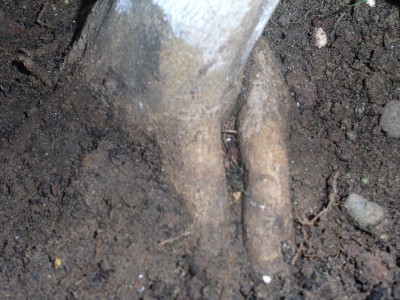 PICT00341.JPG