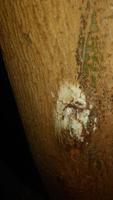 IMG-20160912-WA0017.jpg