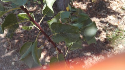 IMG_20160914_143032.jpg