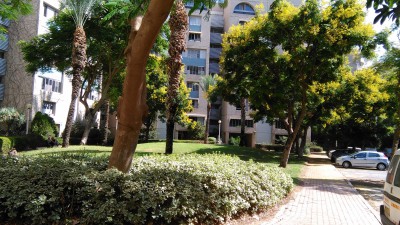 IMG_20161005_112437.jpg