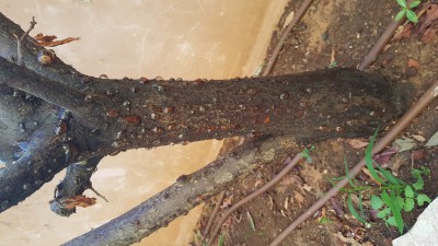 20161002_065945.jpg