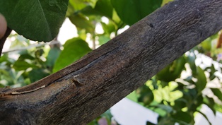 20161022_110737.jpg