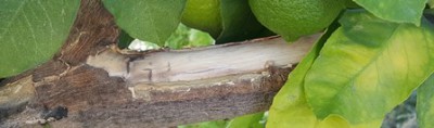 20161022_110714.jpg