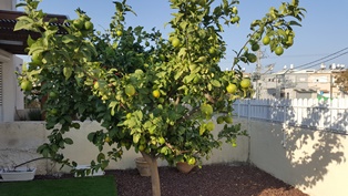 20161026_083924.jpg