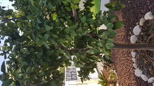 20161026_083959.jpg