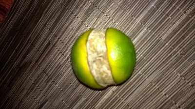 WP_20161101_003.jpg