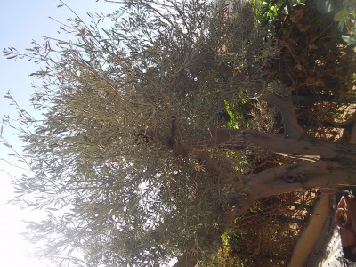 20161127_104314.jpg