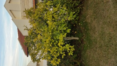 20170112_163447.jpg
