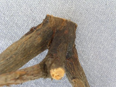 PICT0053.JPG